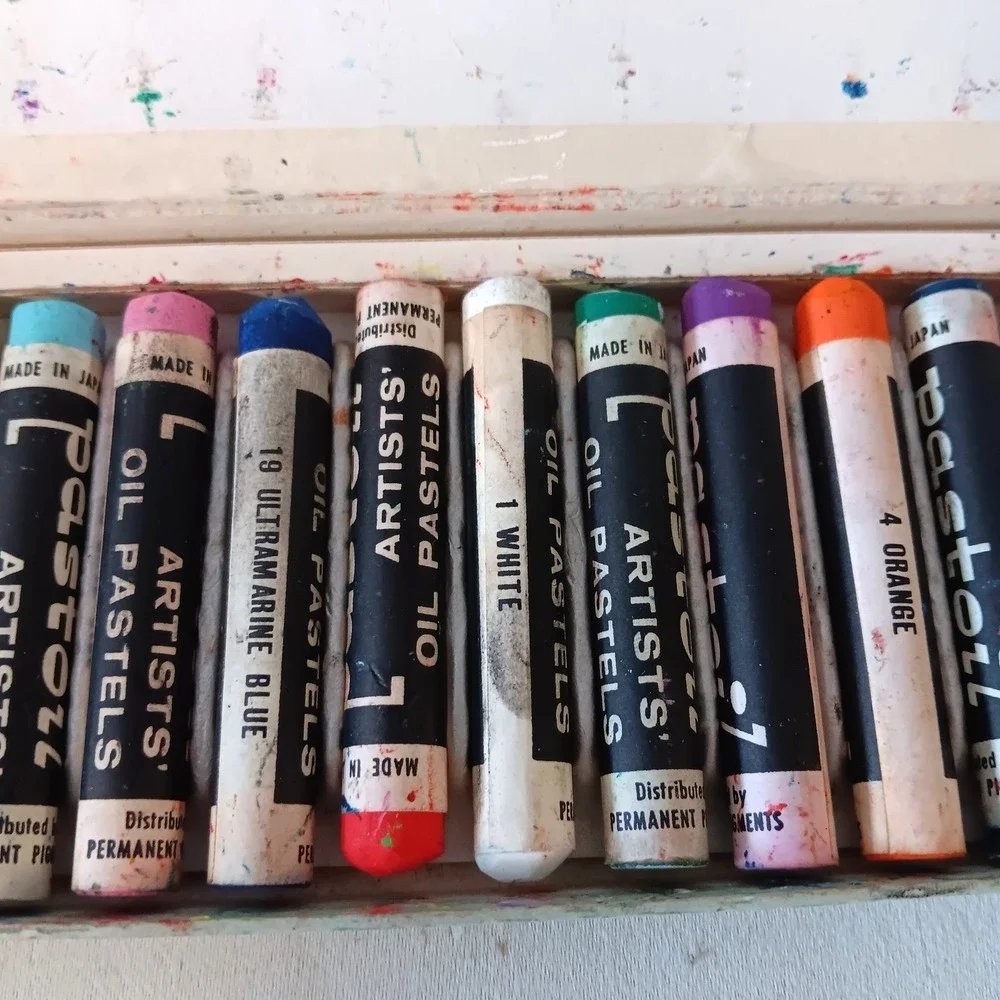 Permanent Pigments Pastoil‎ Artists Oil Pastels 16 Studio Size Sticks JAPAN Made